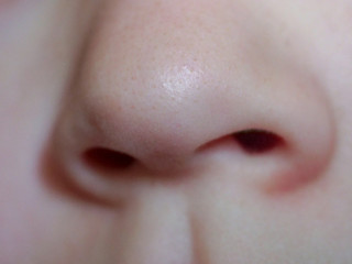 close up of kid nose