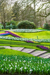 Obraz premium Keukenhof park in Netherlands