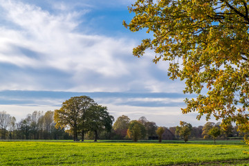 Herbst im Muensterland