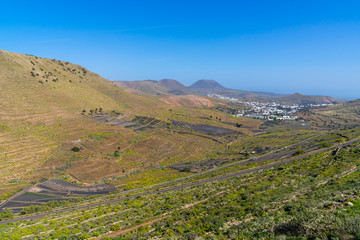 Spain, Lanzarote, Rural arid countryside in vale of palm city haria next to volcano mountains