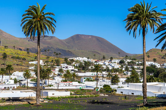 Spain, Lanzarote, White houses of palm tree village haria surrounded by huge volcano mounts