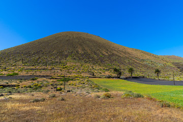 Spain, Lanzarote, Green plant covered volcanic mount near haria
