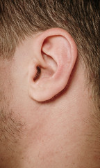 Obraz premium human ear close-up macro shot