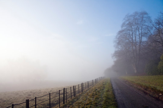 Empty road passing through grassy landscape