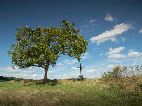 Tree and crucifix on grassy landscape against cloudy sky