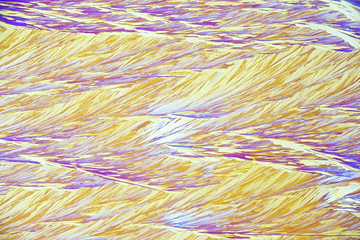 Crystals of citric acid, microscope image