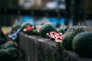 watermelon on a stump