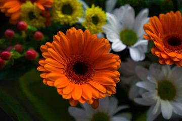 A bouquet of flowers.