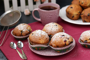 Fototapeta na wymiar Black currant muffins in a plate on a pink background