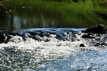 Fototapeta premium River
