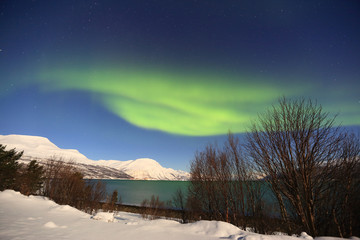 Aurora borealis over fjords