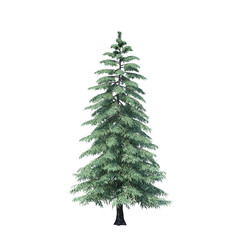 single tree on white background, 3d rendering,clipping path