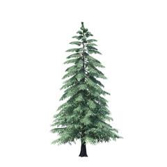 single tree on white background, 3d rendering,clipping path