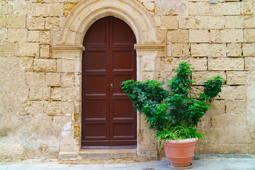 Quiet narrow desert medieval beautiful ancient building in Silent City Mdina, Malta. Green plant in pot near brown antique doors. Travel vacation postcard. Copy space. Vintage effect.