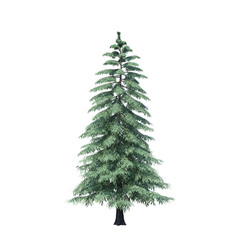 Fototapeta premium single tree on white background, 3d rendering,clipping path