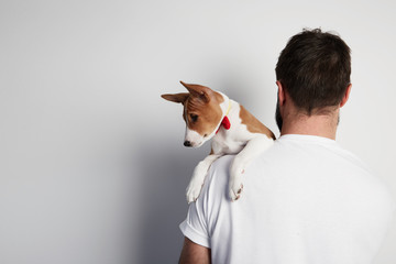 Handsome bearded man snuggling and hugging his basenji puppy dog, close friendship against a white...