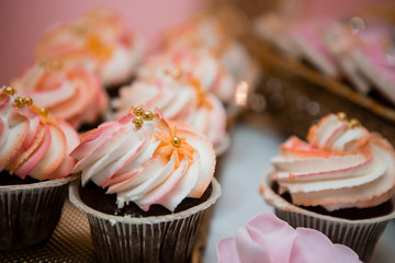 candy bar in pink, photo zone in pink for the girl's birthday, cake for the birthday girl with the inscription 