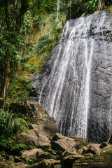 Obraz premium Waterfall in El Yunque National Forest in Puerto Rico 