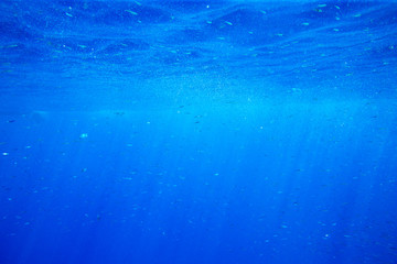 Tranquil underwater scene with copy space