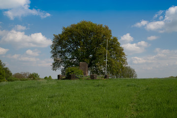 Denkmaleiche mit Gedenkstein