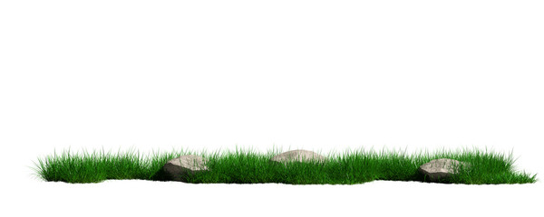 grass Isolated on white background with clipping path - Illustration - 3d rendering