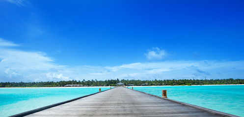 tropical Maldives island with white sandy beach and sea