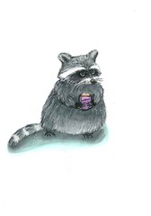 raccoon on white background