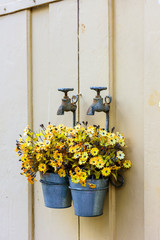 Bucket with yellow flowers hanging on an old metal faucet decorating a wooden door at the entrance of a house