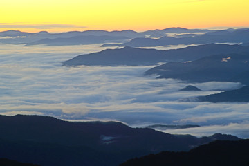 Fog lays around the valley of Clingman's Dome at sunrise.