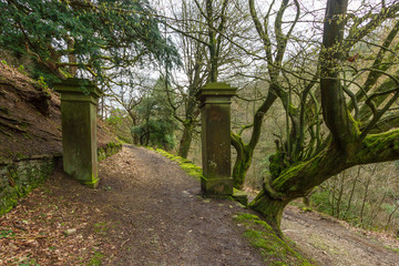 A view of a forest path trail with pilars entrance gate and trees under a white cloudy sky