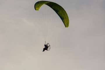 paraglider
