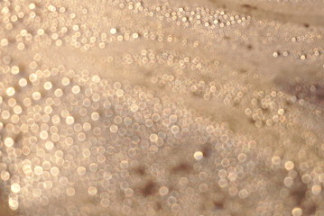 brown bokeh blurred abstract background 