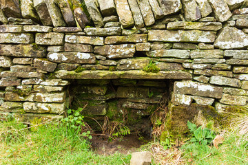 A view of a stone wall with green vegetation
