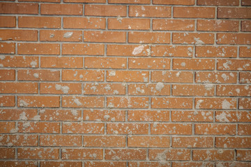Fototapeta premium old red brick wall texture background dark