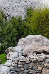 landscape in the park plants and stones