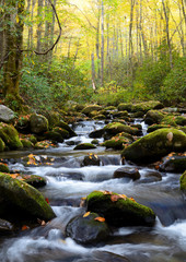 Small white water stream in the Smoky Mountains fall. - 259217324