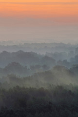 Mystical view from top on forest under haze at early morning. Mist among layers from tree silhouettes in taiga under predawn sky. Calm morning atmospheric minimalistic landscape of majestic nature.