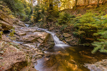 Harz landscape