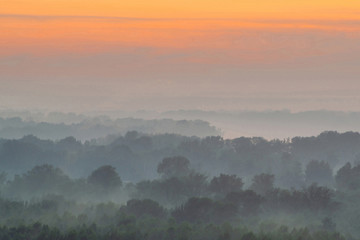 Mystical view from top on forest under haze at early morning. Mist among layers from tree silhouettes in taiga under predawn sky. Calm morning atmospheric minimalistic landscape of majestic nature.