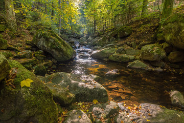 Obraz premium Harz landscape