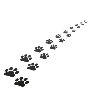Animal paw print trace vector illustration