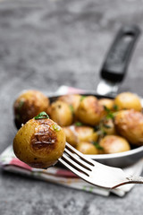 Baked baby potatoes with spices in a bowl on gray stone table