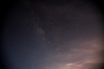 Fototapeta na wymiar Night Sky in El Yunque National Forest in Puerto Rico 