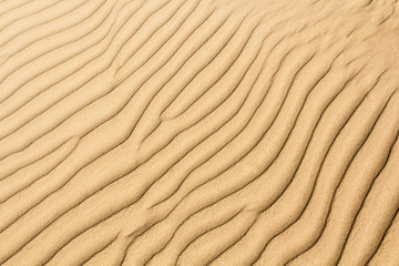 Lines of sand in the coast of Baltic sea