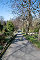 Blick über den Friedhof 