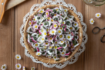 Common daisy flowers in a basket, top view