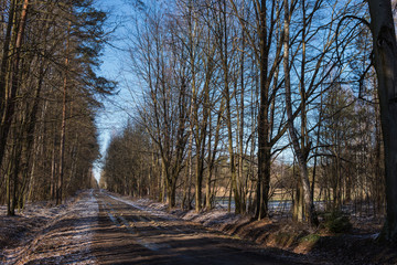 rut in a ground road