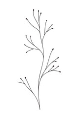 Fototapeta premium branch with leaves isolated icon