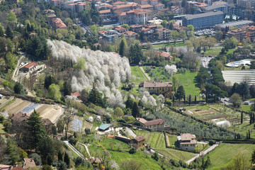 Fototapeta na wymiar Bergamo, Italy. Italian sping