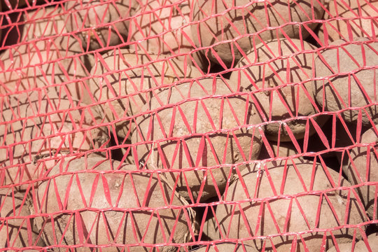 Potatoes in sacks.